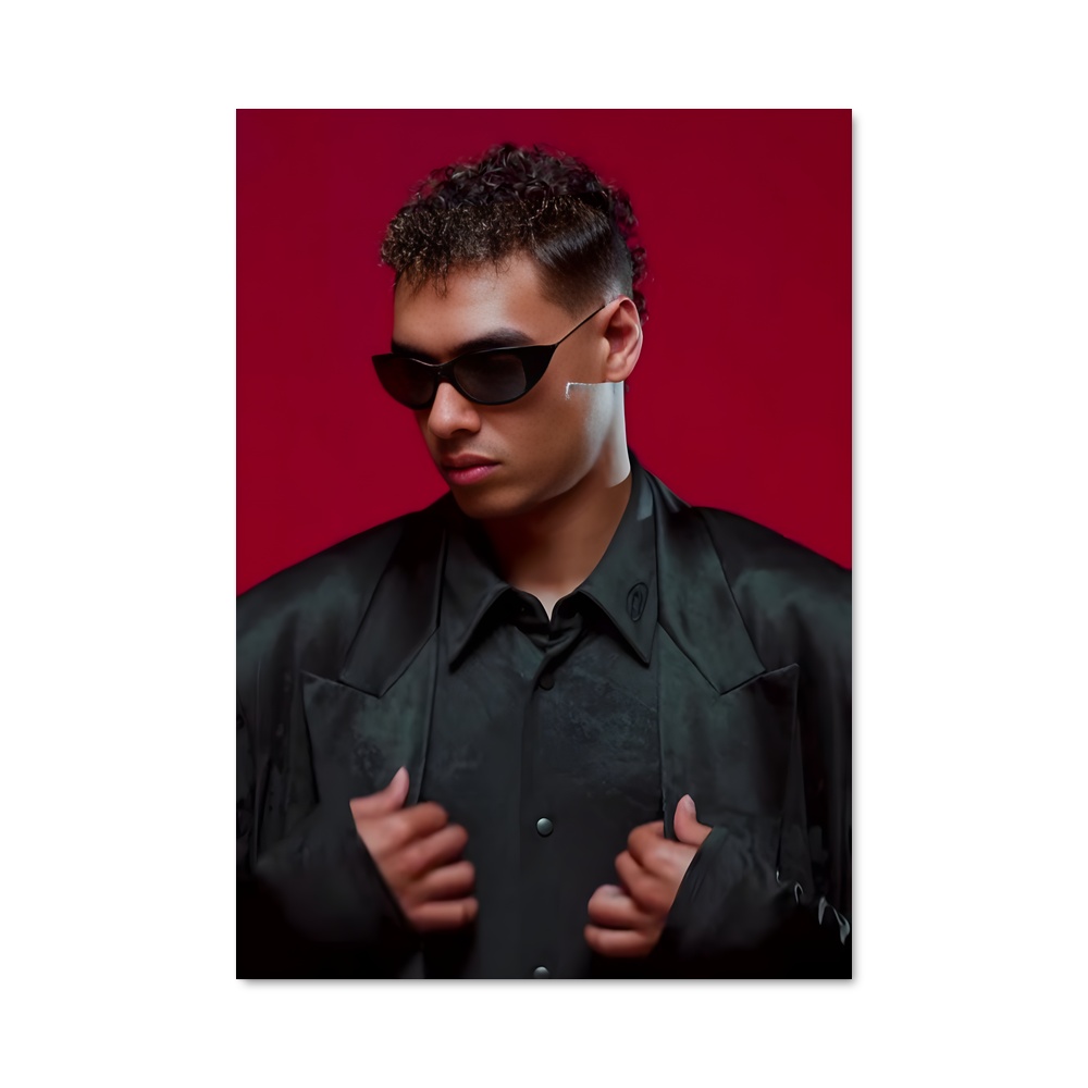 Poster Pablo veron